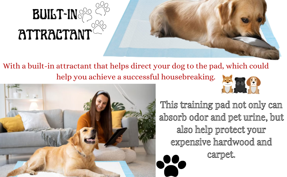 Pet Potty Training Pads for Dogs - 5 Layers Super - 56 x 56 cm - (Pack of 50/100) - Bargain Factory