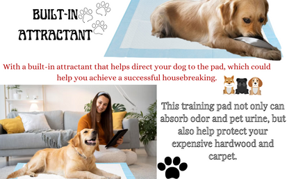 Pet Potty Training Pads for Dogs - 5 Layers Super - 56 x 56 cm - (Pack of 50/100) - Bargain Factory