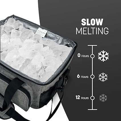Insulated Picnic Bag 15L Large Cooler Bag Lunch Bag For Lunch/Work/School/Beach/Picnic (Grey) - Bargain Factory